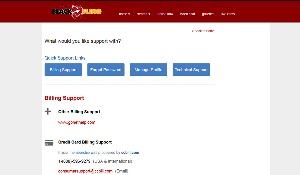 Revisión de BlackFling: donde los negros calientes vienen a divertirse