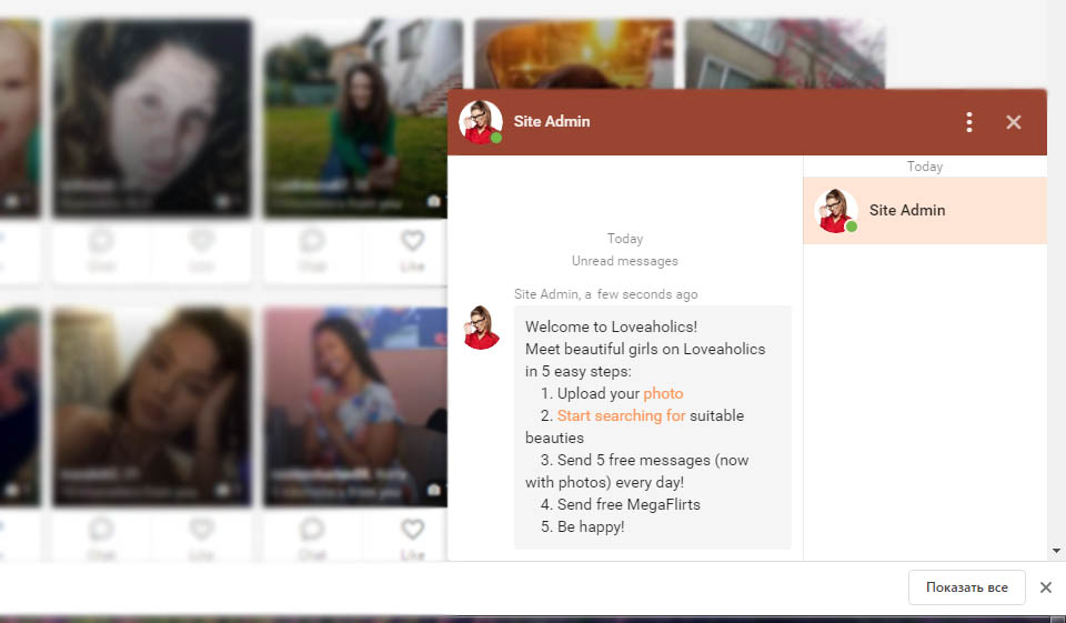 Loveaholics: ¿Qué tan fácil de usar es la interfaz?