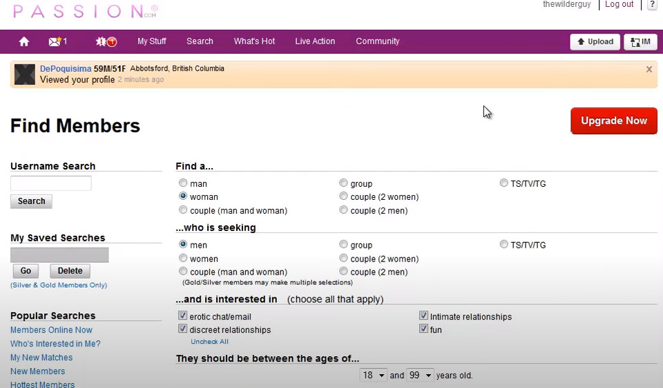 ¿Cómo es el diseño del sitio web?