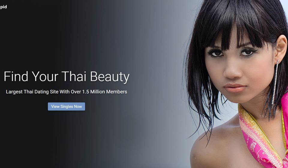Diseño de sitios web ThaiCupid