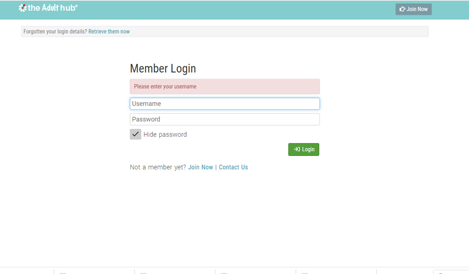 TheAdultHub Review - ¿Paraíso en la Tierra o estafa típica?