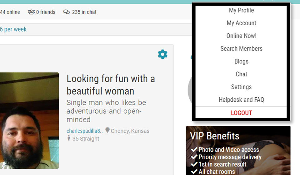 TheAdultHub Review - ¿Paraíso en la Tierra o estafa típica?