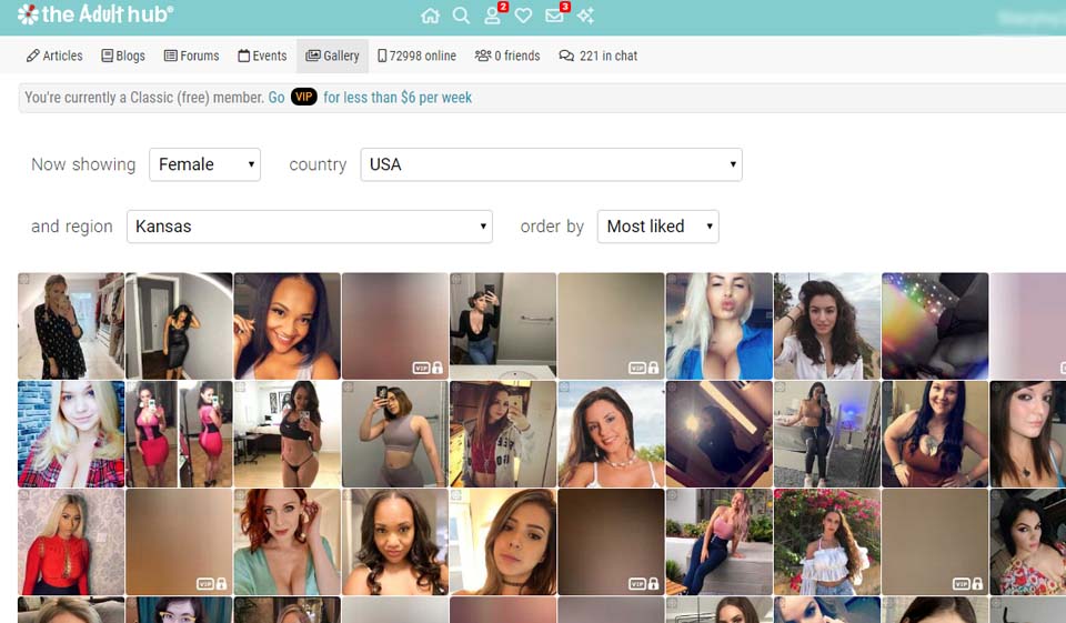 TheAdultHub Review - ¿Paraíso en la Tierra o estafa típica?