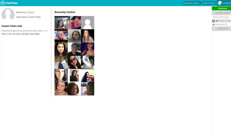 Revisión de FaceFlow - ¿Debería utilizar este sitio web?