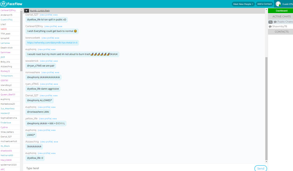Revisión de FaceFlow - ¿Debería utilizar este sitio web?