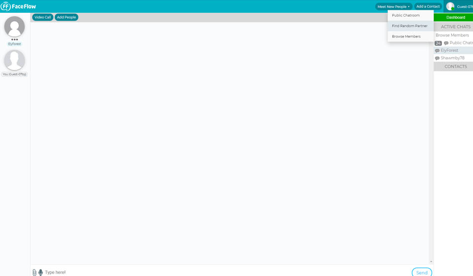 Revisión de FaceFlow - ¿Debería utilizar este sitio web?