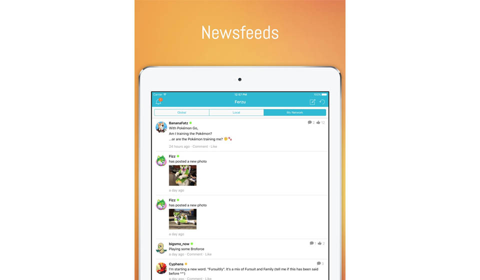 Revisión de Ferzu: ¿fiar o estafa?