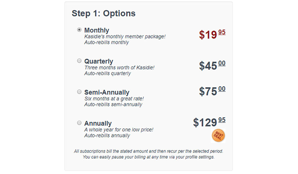 Descripción general de Kasidie - ¿Vale la pena dedicarle tiempo al sitio?