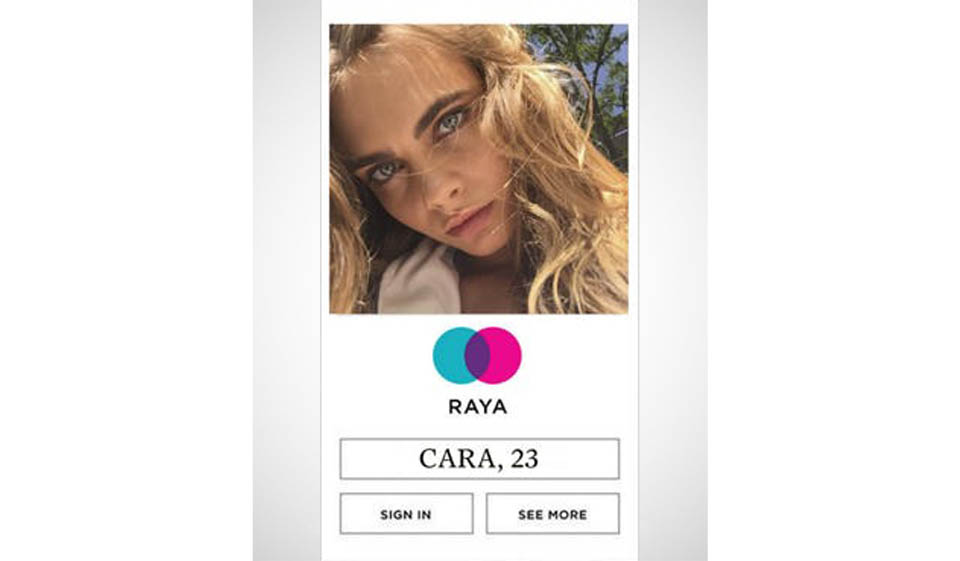 ¿Con qué tipos de miembros puede conectarse en el sitio?