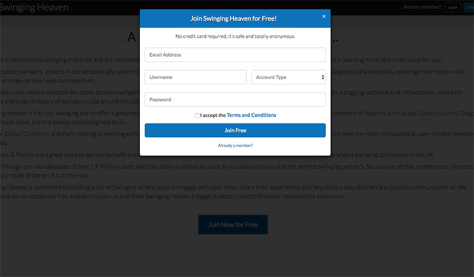 Swinging Heaven: ¿Qué ofrece este sitio web a las personas que se citan en línea?