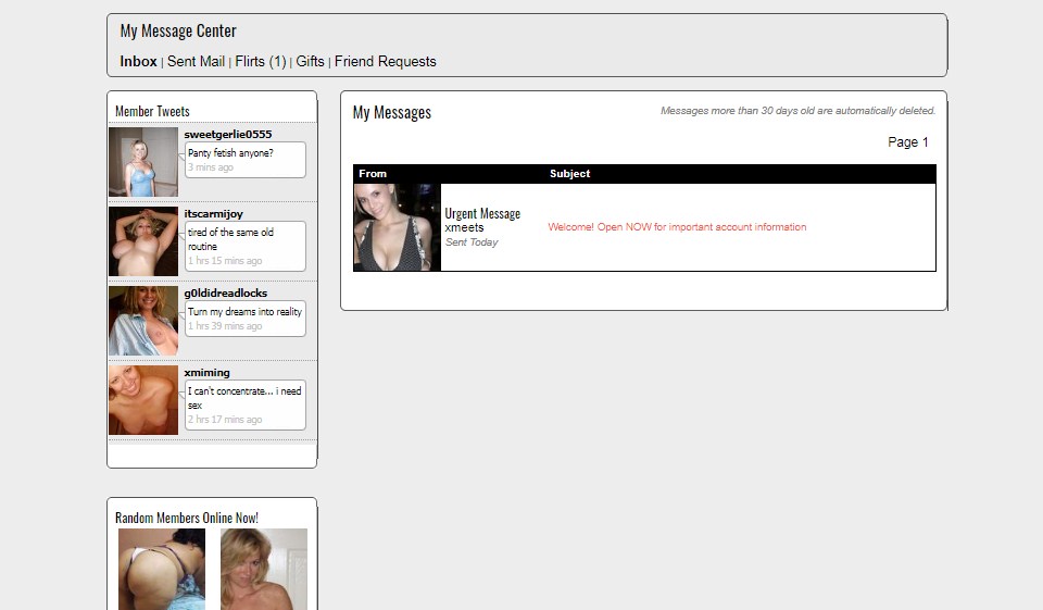 Revisión de Xmeets 2020: ¿fiar o estafa?