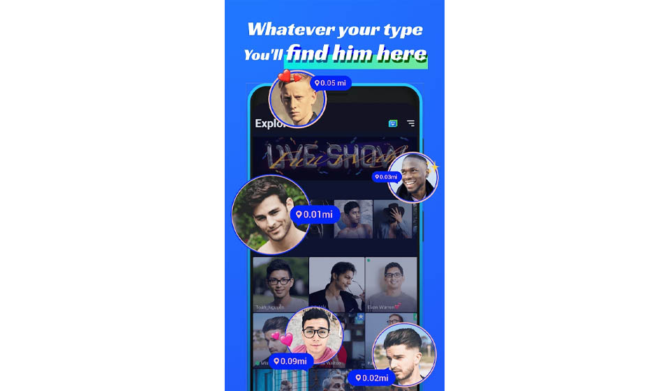 Procedimientos de perfil y verificación