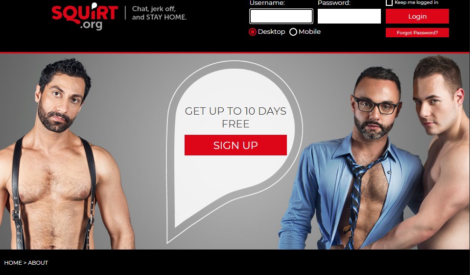 El proceso de registro y el perfil de usuario