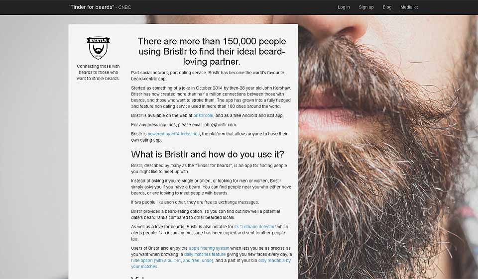 ¿Cómo es el proceso de verificación y calidad del perfil en Bristlr?