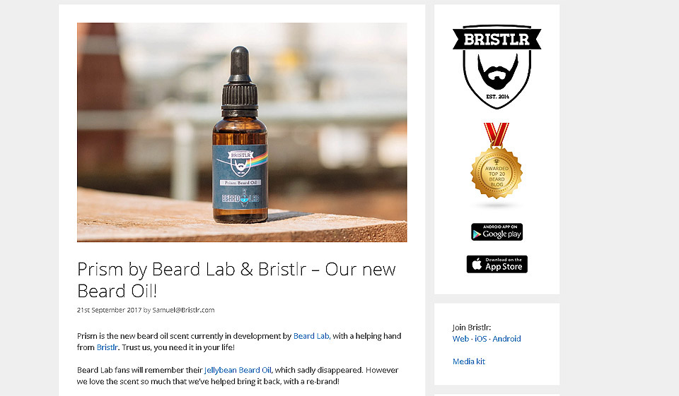 ¿Qué tan bueno es el soporte al cliente de Bristlr?