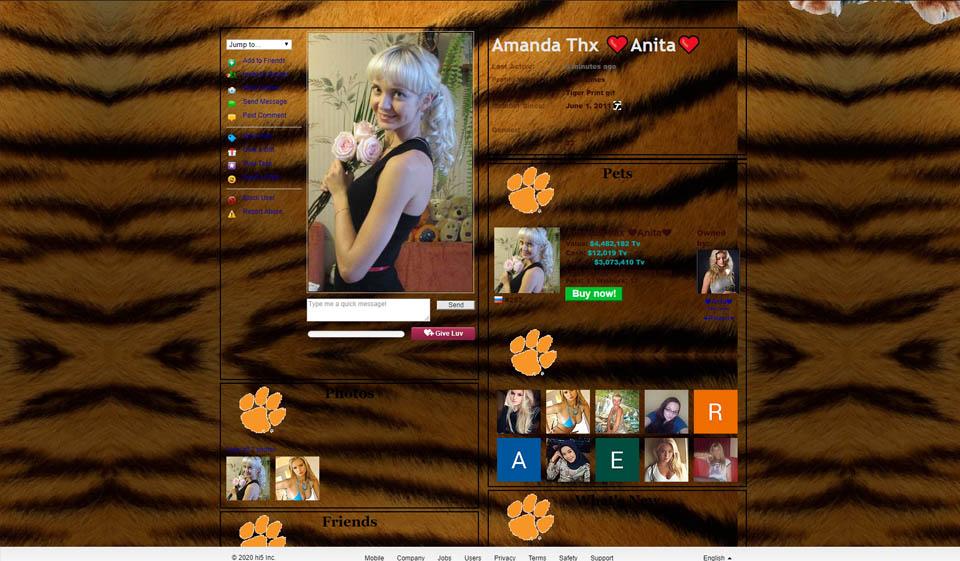 El proceso de registro de Hi5 y el perfil de usuario