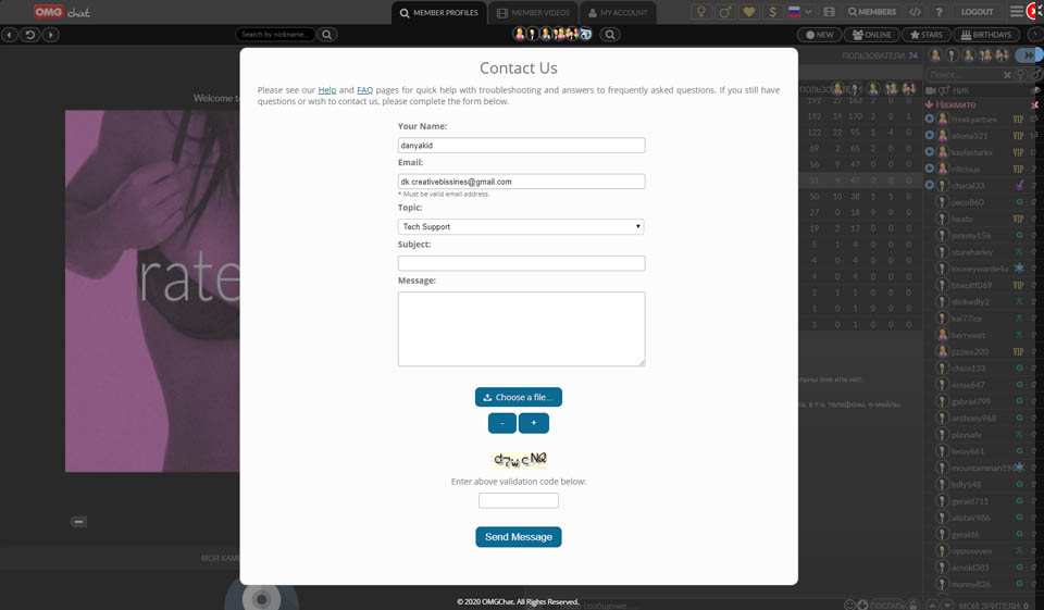 Alternativas a OMGChat