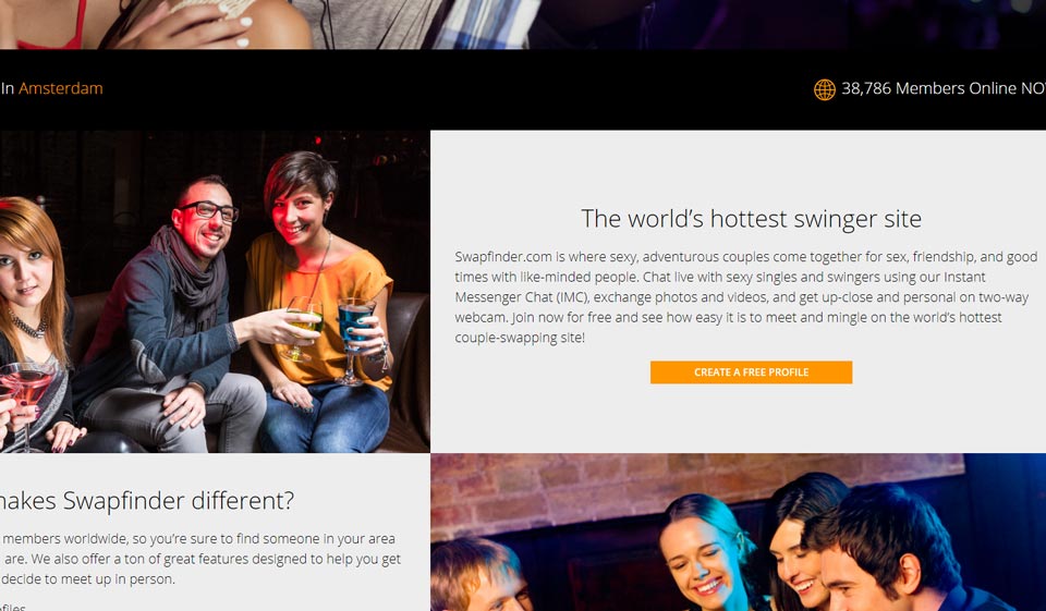 Revisión de SwapFinder: ¿es adecuado para usted?