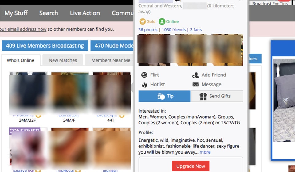 Revisión de SwapFinder: ¿es adecuado para usted?