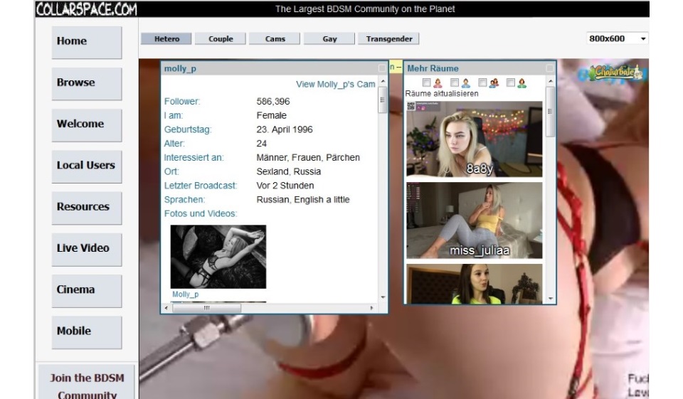 Revisión de Collarspace: ¿fiar o estafa?